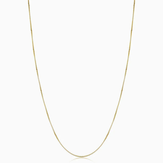 BOX COLLIER BODEGA